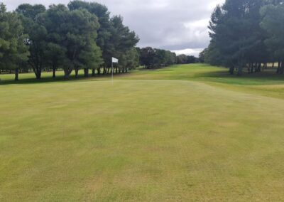An example of the beautiful greens at Nhill Golf Club Victoria Wimmera Golf Trail Great Golfing Road Trips Australia