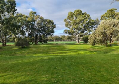 Crops are just next door to Dimboola Golf Club Victoria Wimmera Golf Trail Great Golfing Road Trips Australia