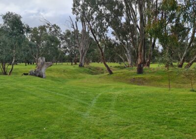 Gums and the dry creek bed at Dimboola Golf Club Victoria Wimmera Golf Trail Great Golfing Road Trips Australia