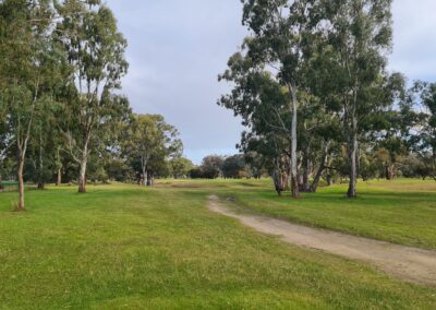 Native Gum Trrees are a feature at Dimboola Golf Club Victoria Wimmera Golf Trail Great Golfing Road Trips Australia