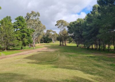 One of the terrific par threes at Nhill Golf Club Victoria Wimmera Golf Trail Great Golfing Road Trips Australia