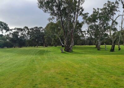 The beautiful fairways at Dimboola Golf Club Victoria Wimmera Golf Trail Great Golfing Road Trips Australia