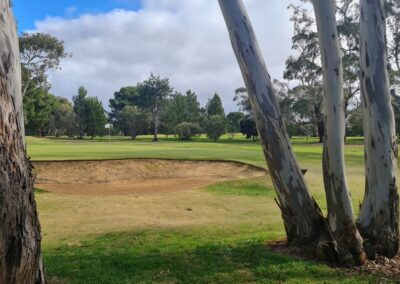 The picturesque course at Nhill Golf Club Victoria Wimmera Golf Trail Great Golfing Road Trips Australia