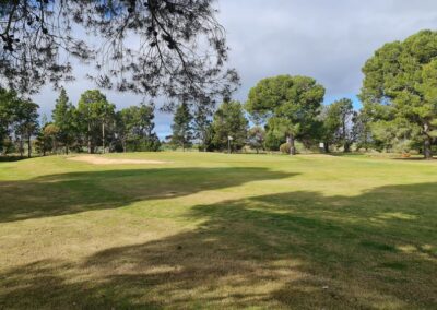 The rural setting of Nhill Golf Club Victoria Wimmera Golf Trail Great Golfing Road Trips Australia