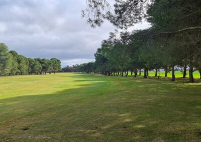 Tree lined fairways at Nhill Golf Club Victoria Wimmera Golf Trail Great Golfing Road Trips Australia